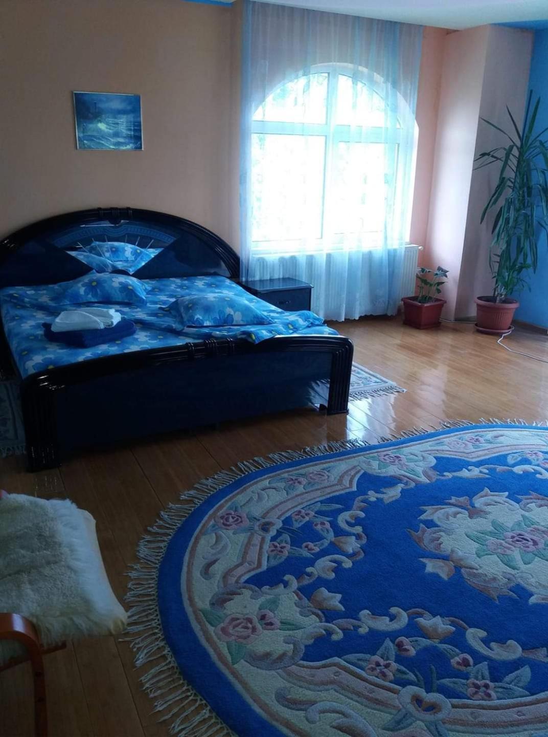 Casa Albastra Otel Drumu Carului Oda fotoğraf